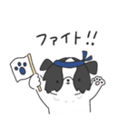もふもふボーダーコリーの使えるスタンプ（個別スタンプ：20）