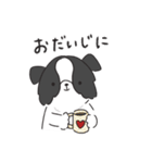 もふもふボーダーコリーの使えるスタンプ（個別スタンプ：34）
