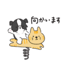 もふもふボーダーコリーの使えるスタンプ（個別スタンプ：36）