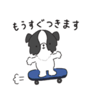 もふもふボーダーコリーの使えるスタンプ（個別スタンプ：37）