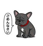 フレンチブルドッグ(タイガーブリンドル)（個別スタンプ：3）