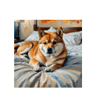 柴犬の日常6（個別スタンプ：39）