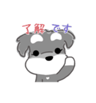 かわいいシュナ犬なんとなく動く（個別スタンプ：2）