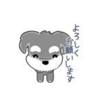 かわいいシュナ犬なんとなく動く（個別スタンプ：3）