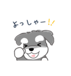 かわいいシュナ犬なんとなく動く（個別スタンプ：4）