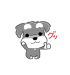 かわいいシュナ犬なんとなく動く（個別スタンプ：5）