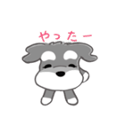 かわいいシュナ犬なんとなく動く（個別スタンプ：6）