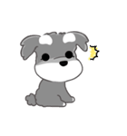 かわいいシュナ犬なんとなく動く（個別スタンプ：10）