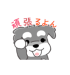 かわいいシュナ犬なんとなく動く（個別スタンプ：16）