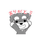 かわいいシュナ犬なんとなく動く（個別スタンプ：18）