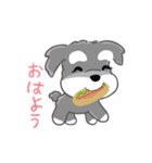 かわいいシュナ犬なんとなく動く（個別スタンプ：19）