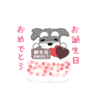 かわいいシュナ犬なんとなく動く（個別スタンプ：24）