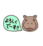 省スペース【カバがいっぱい☆】スタンプ（個別スタンプ：19）
