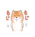 オノマトペで伝える茶シバのスタンプ（個別スタンプ：8）
