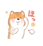 オノマトペで伝える茶シバのスタンプ（個別スタンプ：12）