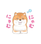 オノマトペで伝える茶シバのスタンプ（個別スタンプ：21）