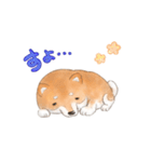 オノマトペで伝える茶シバのスタンプ（個別スタンプ：22）