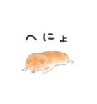 オノマトペで伝える茶シバのスタンプ（個別スタンプ：32）