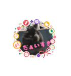 うさふぁみ（個別スタンプ：1）