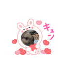 うさふぁみ（個別スタンプ：2）