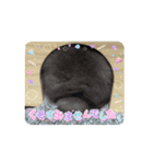 うさふぁみ（個別スタンプ：3）