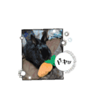 うさふぁみ（個別スタンプ：7）