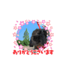 うさふぁみ（個別スタンプ：9）