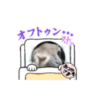 うさふぁみ（個別スタンプ：10）