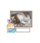 うさふぁみ（個別スタンプ：15）