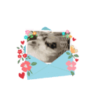 うさふぁみ（個別スタンプ：16）