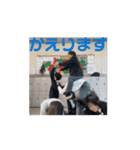 日常に使えるみんなのスタンプ  3（個別スタンプ：4）
