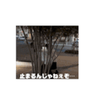 日常に使えるみんなのスタンプ  3（個別スタンプ：9）