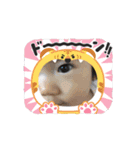 ちびびのすたんぷぅ（個別スタンプ：5）