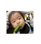姫の成長記録（個別スタンプ：1）