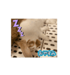 動くんです。うさぎのフッくん（個別スタンプ：2）
