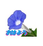 草花開花の会話スタンプ（個別スタンプ：1）