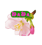 草花開花の会話スタンプ（個別スタンプ：2）
