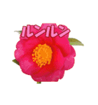草花開花の会話スタンプ（個別スタンプ：3）