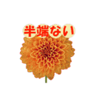 草花開花の会話スタンプ（個別スタンプ：6）