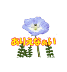 草花開花の会話スタンプ（個別スタンプ：9）