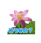草花開花の会話スタンプ（個別スタンプ：11）