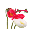 草花開花の会話スタンプ（個別スタンプ：13）