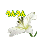 草花開花の会話スタンプ（個別スタンプ：15）