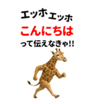 エッホエッホ どうぶつ園【BIGスタンプ】（個別スタンプ：2）
