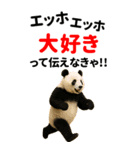 エッホエッホ どうぶつ園【BIGスタンプ】（個別スタンプ：4）