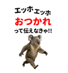 エッホエッホ どうぶつ園【BIGスタンプ】（個別スタンプ：5）