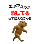 エッホエッホ どうぶつ園【BIGスタンプ】（個別スタンプ：11）