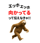 エッホエッホ どうぶつ園【BIGスタンプ】（個別スタンプ：12）