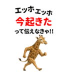 エッホエッホ どうぶつ園【BIGスタンプ】（個別スタンプ：14）