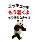 エッホエッホ どうぶつ園【BIGスタンプ】（個別スタンプ：16）